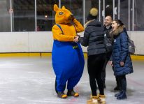 Miskolc Városi Szabadidő Központ